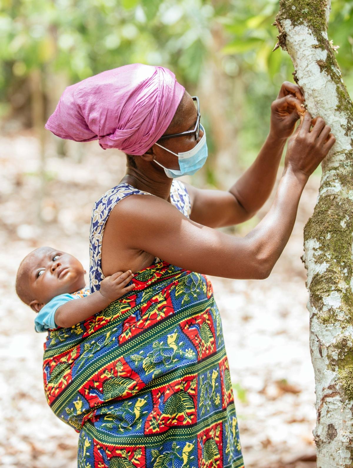 Cocoa farmer Regina Quayson (50) hand-pollinating a tree wearing VisionSpring eyeglasses. Hand-pollination is not possible without clear vision, and it increases yield by 110%. 可可农 ReginaQuayson(50)手画树戴ViewSpring眼镜无清晰视觉则不可能手极增产110%