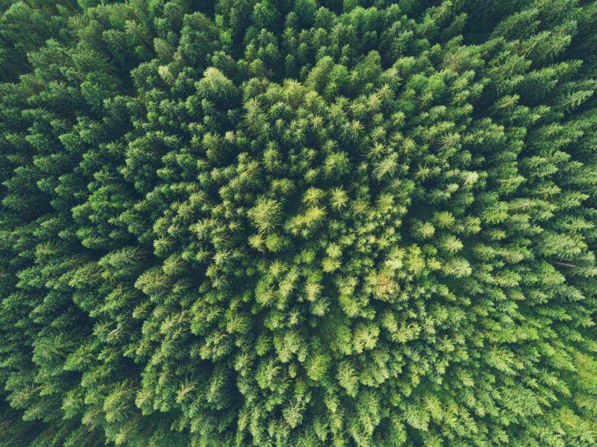 Photo credit John O. Nolan on unsplash.com