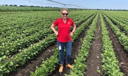 Molly Laverty, Del Monte Foods' Senior ESG Manager, in a field of the company's Blue Lake Green Beans 莫莉Laverty,德尔蒙特食品公司的环境、社会和治理高级经理,在公司的蓝色湖泊青豆
