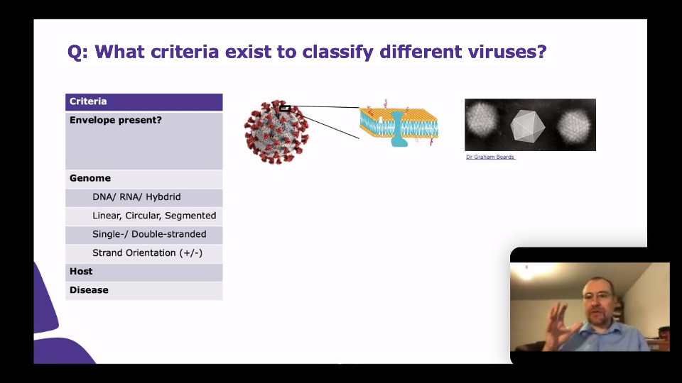 Dr. Tobias Hertzig, regulatory affairs manager at MilliporeSigma, led two virtual virology sessions at the European School Frankfurt and the Metropolitan School Frankfurt.
