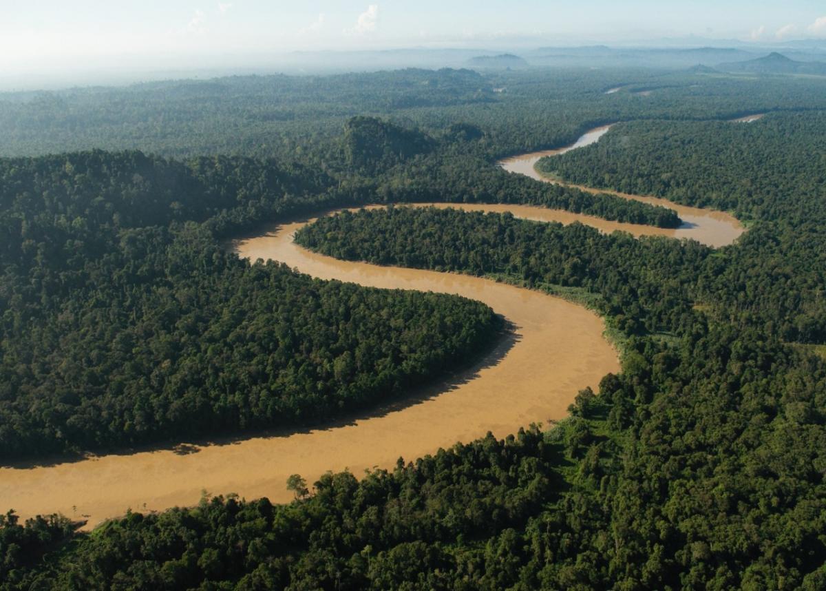 Kinabatangan River