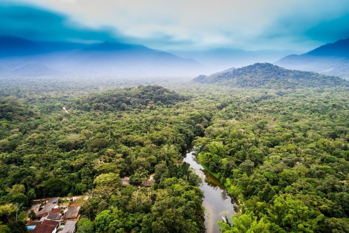 Nestlé expands efforts in forest monitoring with public radar technology