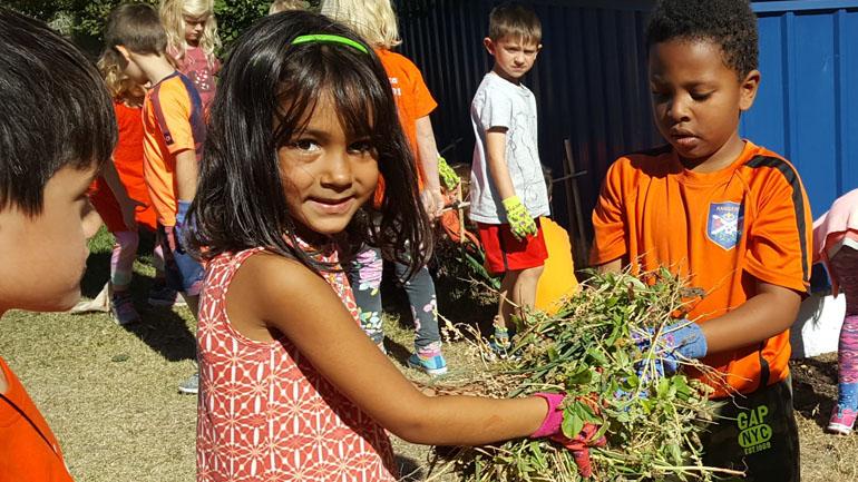 Students from Calgary's Westgate explore the school's outdoor classroom and community garden.