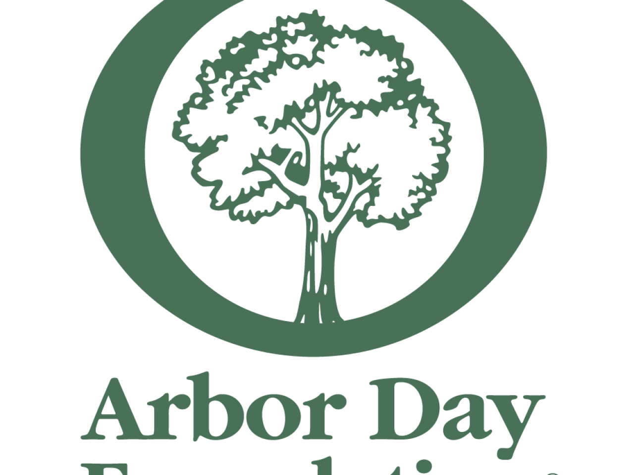 arbor Day基础标定