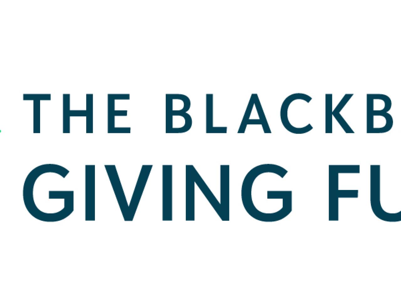 Blackbaud提供基金徽标