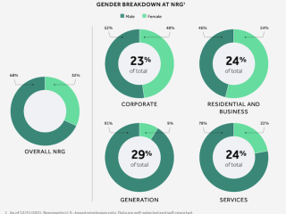 NRG Energy的性别崩溃图。
