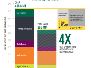 条形图”思想的差距:重要发现