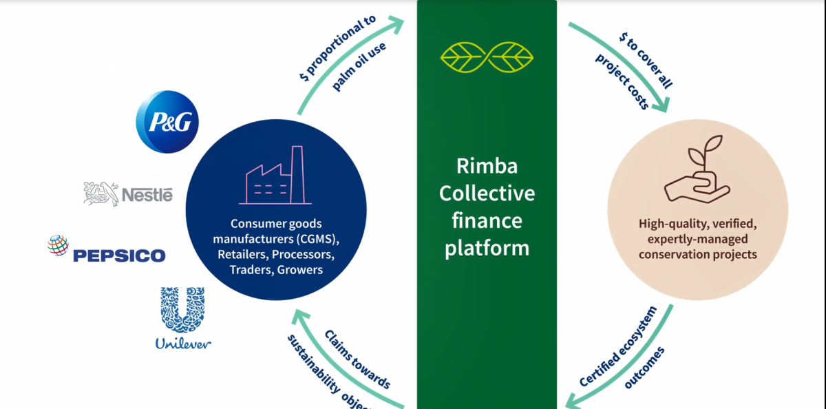 信息图形的“Rimba集体融资平台”