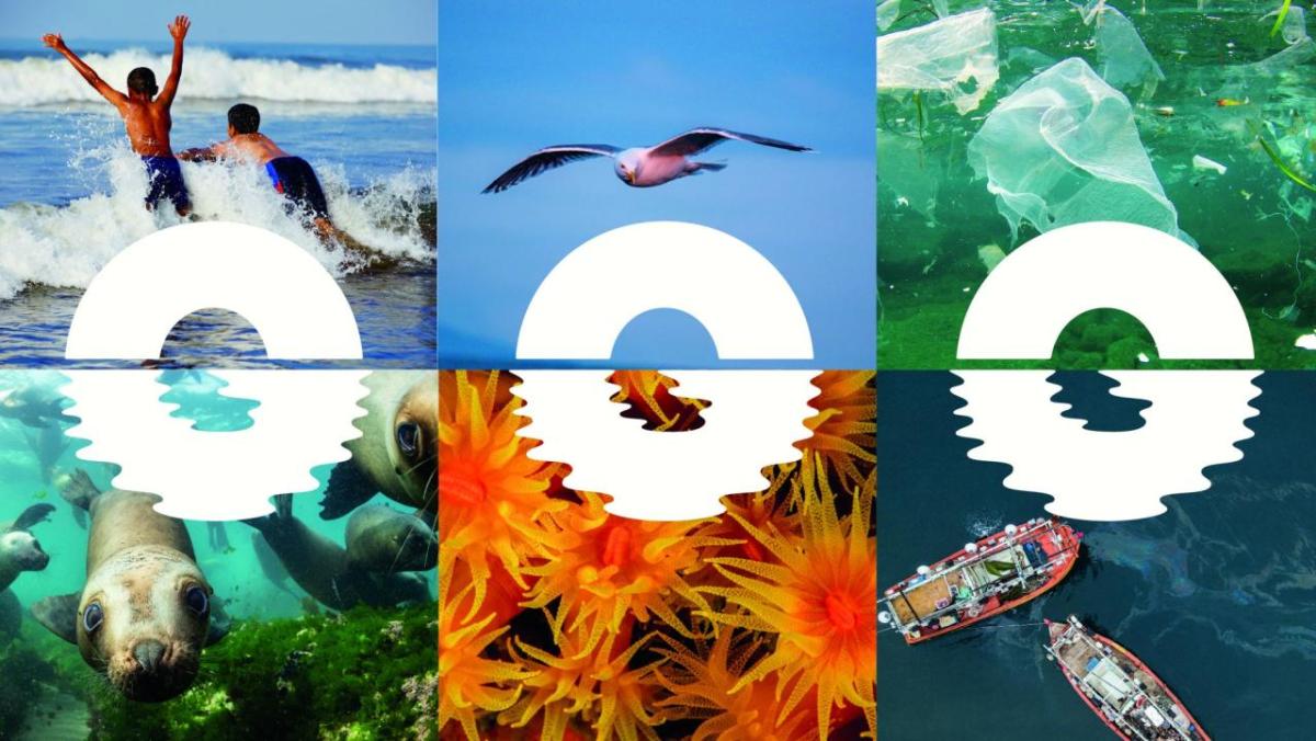 海洋生成标识由六张不同相片组成:海鸟、水中的塑料、密封物、Anemones、水上浮油游船