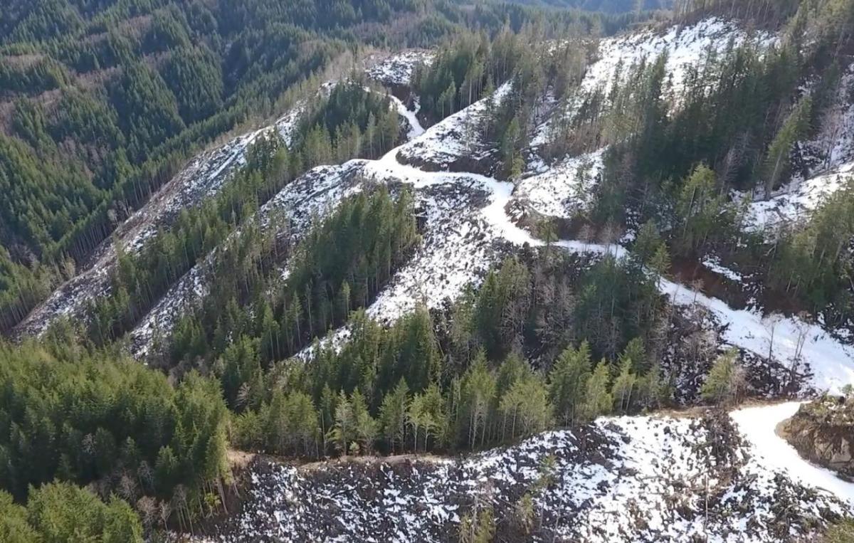 鸟瞰图道路冰雪覆盖的森林