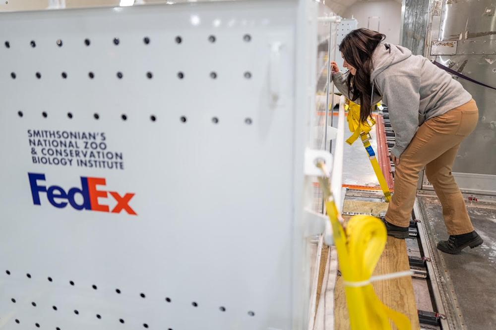 人写FedEx箱
