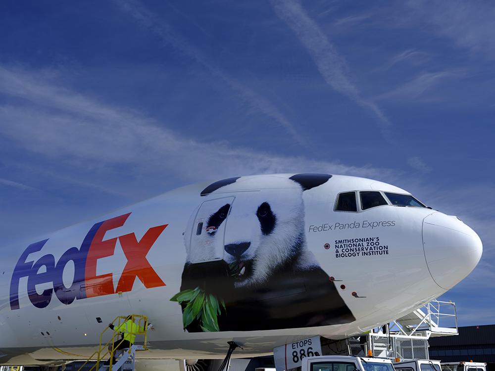fedEx飞机上贴有熊猫图像