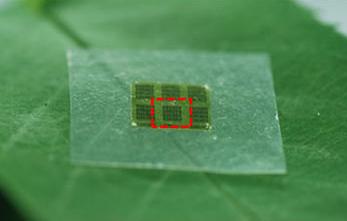 双极晶体管nanocellulose衬底